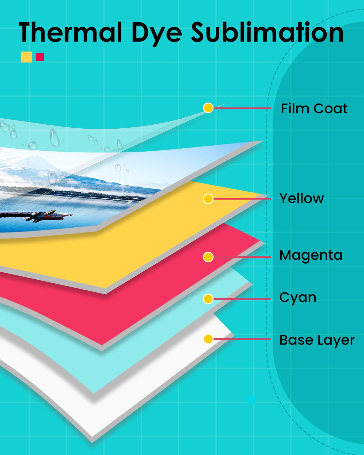 LP-80 Compatible for Liene Amb - Solvent Printer Ink review and price