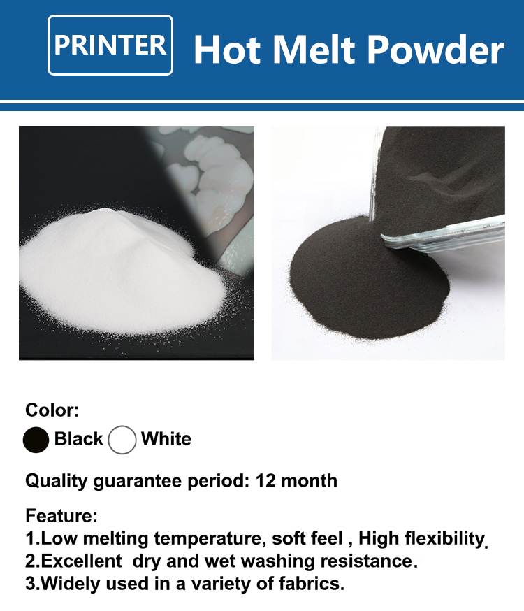 1000g 1kg DTF Powder Fine Powd - Solvent Printer Ink review and price